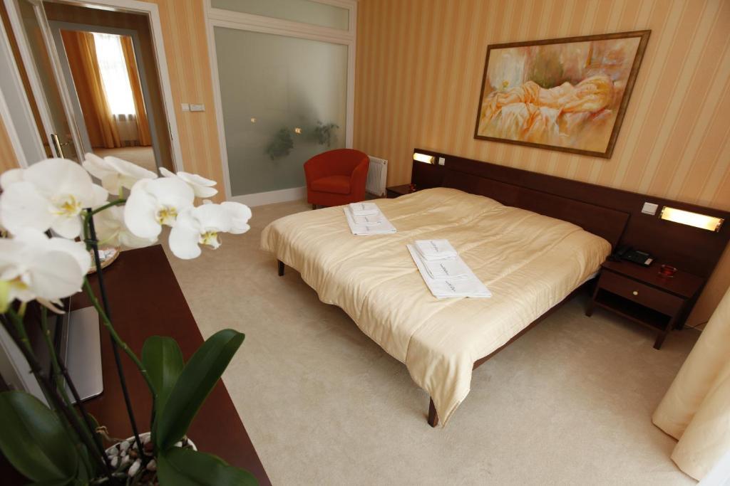 Hotel Sandor Pavillon Piestany Ruang foto